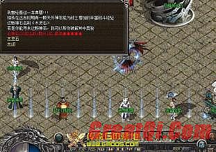 ϼ鸴Ŵͻ