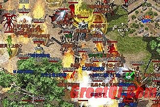 1.85�������źϻ�