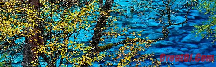 1.76�뿨������ô��Ԫ��