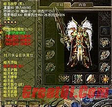 ��Ѫ���浥���� ����